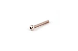 Bilde av A4 DIN 7985 TORX M 4 X 40