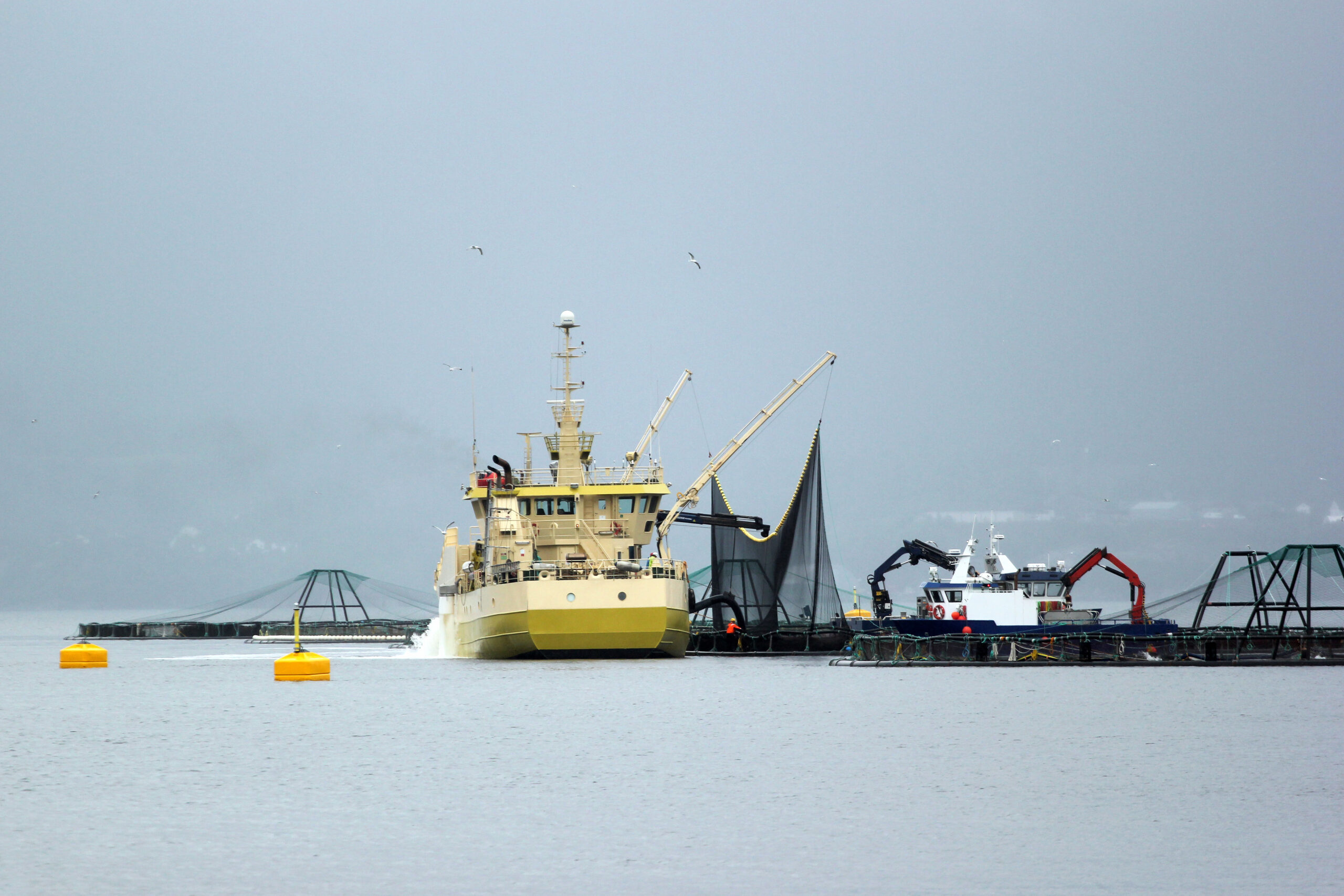 Imperial 101: Hva betyr UNC, UNF og TPI — og hvordan identifiserer du gjengene i felt?